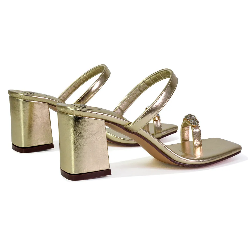 Daiquiri Double Strap Square Toe Ring Block Heel Sandals in Silver