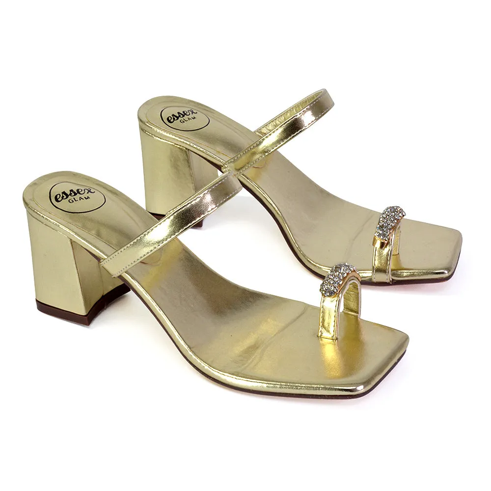 Daiquiri Double Strap Square Toe Ring Block Heel Sandals in Silver