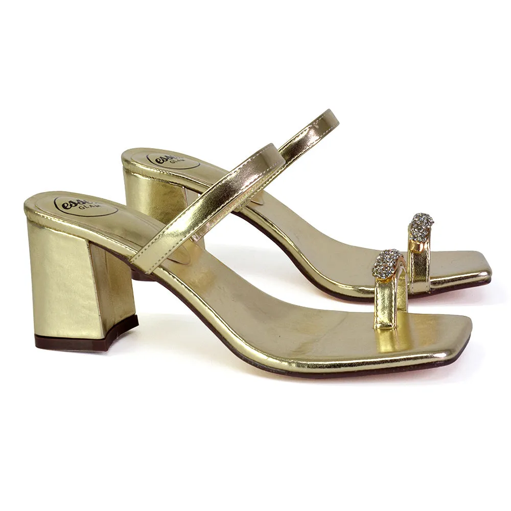 Daiquiri Double Strap Square Toe Ring Block Heel Sandals in Silver