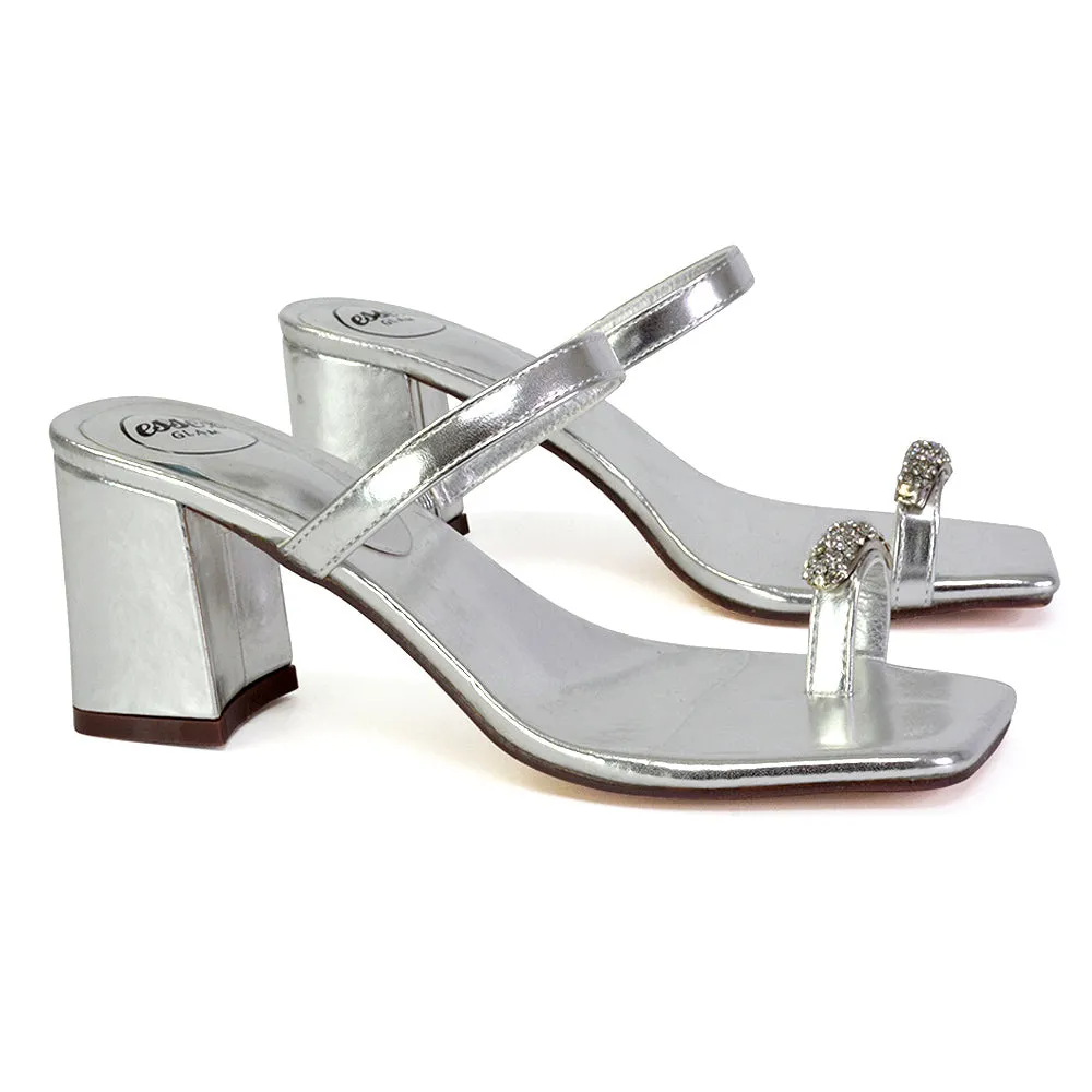 Daiquiri Double Strap Square Toe Ring Block Heel Sandals in Silver