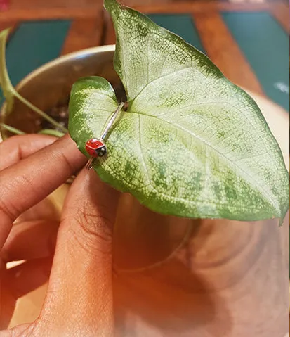 Lil Lady Bug Sterling Silver Toe Ring