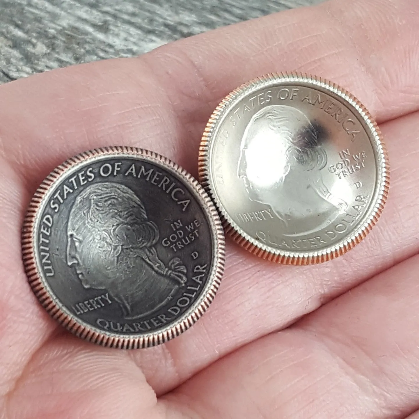 National Park Quarter Domed Coin Earrings