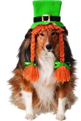 Pets St. Patty's Day Costume Hat with Braids