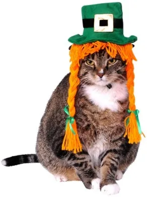 Pets St. Patty's Day Costume Hat with Braids