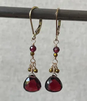 Shimmer Reflection Garnet Earrings